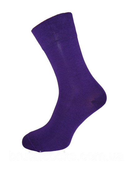 Шкарпетки чоловічі довгі кольорові демісезонні р.41-43 ТМ Twinsocks | Зображення 5