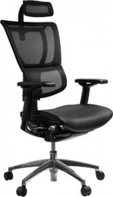 Кресло эргономичное Comfort Seating MIRUS-IOO черное