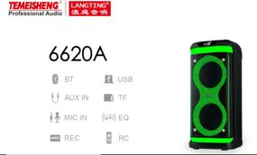 Bluetooth колонка Temeisheng 6620A з потужним звуком та двома мікрофонами (45710-6620A_4056)