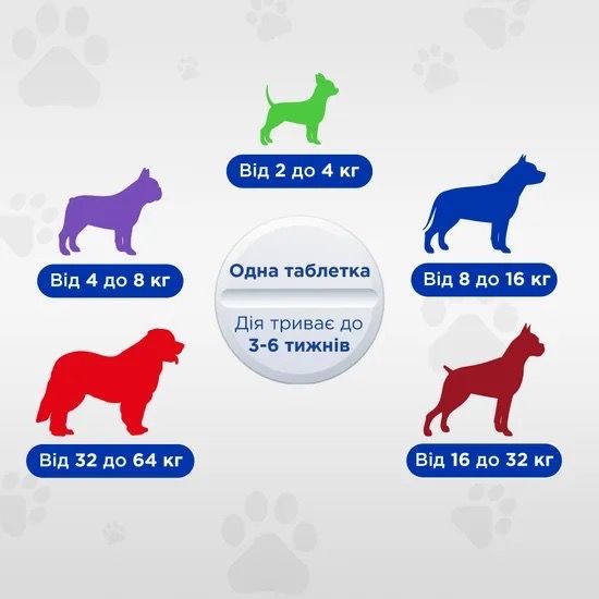 Протипаразитарні таблетки для собак вагою 2-4 кг ModeS Квадромідас, 1 табл | Зображення 3