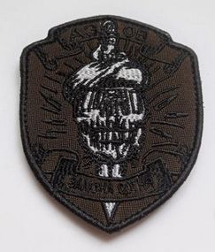 Шеврон на липучке 10