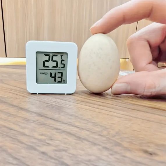 Термометр гігрометр міні цифровий перемикач температури електронний дисплей, працює від батарейок | Зображення 3