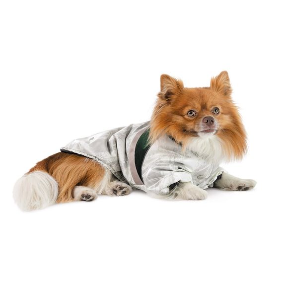 Куртка для собак Bony Pet Fashion, ХS2 білий, зелений | Зображення 2