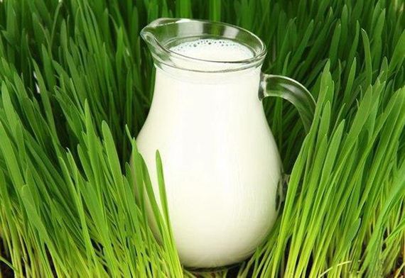 Глечик Bistro Jugs 250мл | Зображення 1