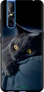 Чохол на Vivo V15 pro Димчастий кіт "825b-1763-2448"