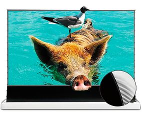 Экран ALR с электроприводом для ультракороткофокусного проектора VividStorm S PRO 100" (White) белый (S-PRO-100"-(White)_49999)