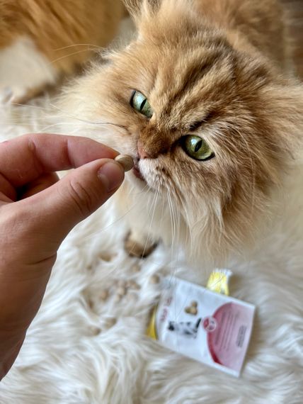 GimCat Every Day Malt Tabs вітаміни для покращення виведення шерсті у котів, 40 гр | Зображення 2