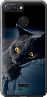 Чохол на Xiaomi Redmi 6 Димчастий кіт "825t-1521-2448"