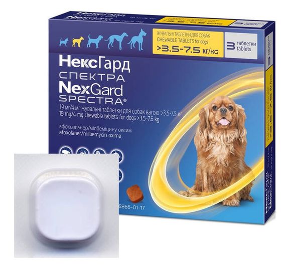 Таблетки от блох, клещей и гельминтов для собак весом от 3.5 до 7.5 кг NexGard Spectra (Нексгард Спектра), 1 шт