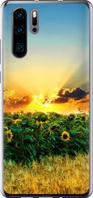 Чехол на Huawei P30 Pro Украина "1601u-1621-17620"