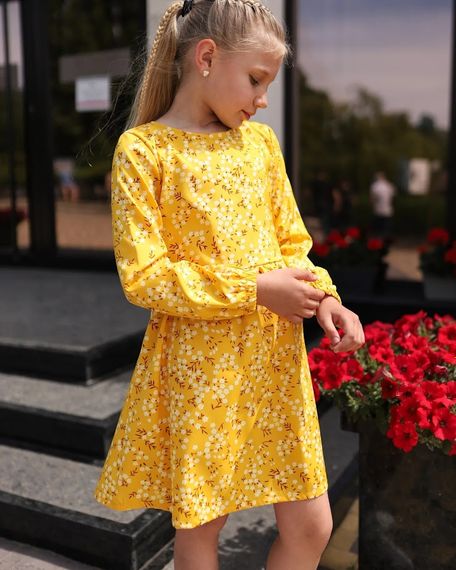 Сукня для дівчинки Носи своє 110 Жовтий (p-14332-161510) | Зображення 3