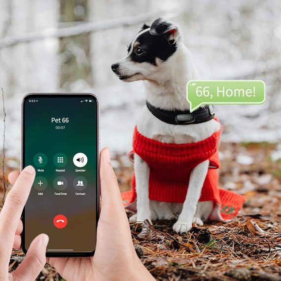 Трекер GPS для тварин V53 Pet Tracker SIM (4GLTE) 900mAh Black | Зображення 3