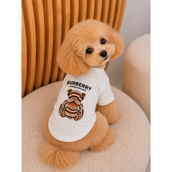 Брендовая футболка для собак Burberry с мишкой на спинке, белая