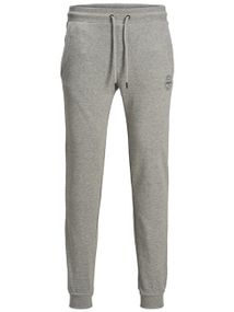 Підліткові спортивні штани-джогери для хлопчика Jack&Jones 146 см Сірі (250313009)