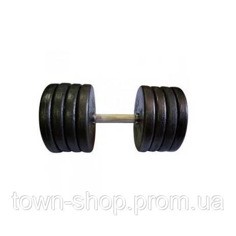 Гантель наборная 42 кг Home TI-968-745-42-1 | Зображення 1