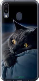 Чохол на Samsung Galaxy M20 Димчастий кіт "825t-1660-2448"