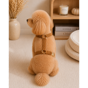 Шлейка для собак Teddy Premium коричневая | Плюшевая мягкая шлейка для собак | Регулируемая шлейка