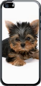Чехол на iPhone 5s Щенок йоркширского терьера "931u-21-17620"