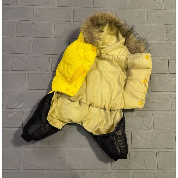 Брендовый зимний комбинезон для собак MONCLER , желтый | Зображення 1