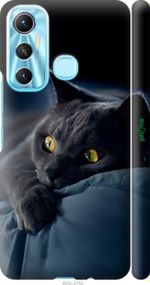 Чохол на Infinix Hot 11 Димчастий кіт "825m-2762-2448"