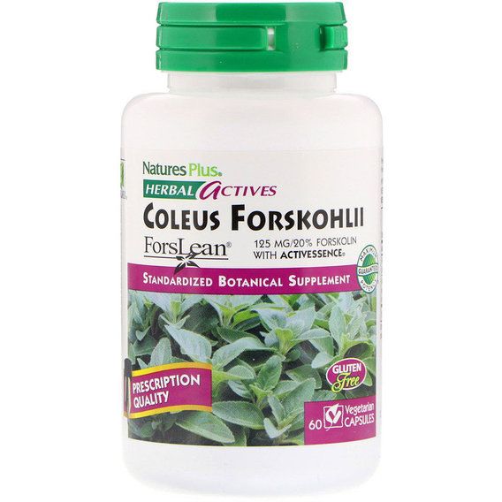 Екстракт для схуднення Nature's Plus Herbal Actives, Coleus Forskohlii 125 mg 60 Veg Caps NAP-07170