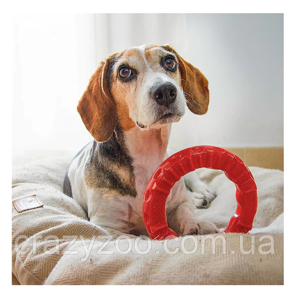 Игрушка для собак Ferplast Ring Smile Medium красный Ø 16x3.2 см 86792012 | Зображення 1