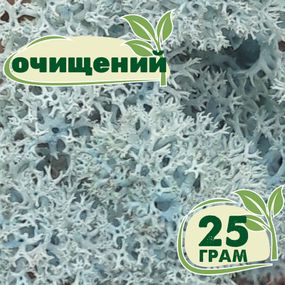 Очищенный стабилизированный мох ягель Nordic moss Ледяной голубой 25 грамм