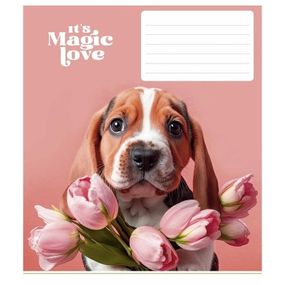 Зошит учнівський "It's a magic love" 012-3300L-5 в лінію, 12 аркушів