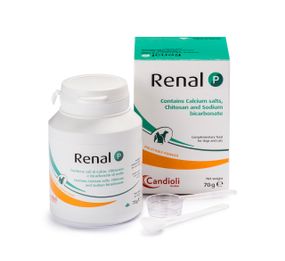 Витамины при заболеваниях почек у собак и котов Candioli Renal P, 70 гр