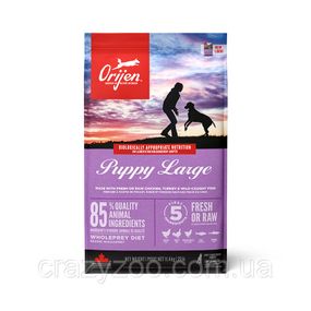 Сухий корм для цуценят великих порід Orijen puppy large breed з м'ясом птиці та рибою 11.4 кг o18112