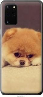 Чехол на Samsung Galaxy S20 Plus Boo 2 из силикона FCh_037025