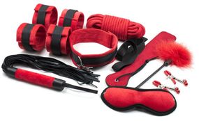 Набор для БДСМ игр RED PAIN Sex Aura