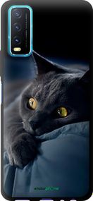 Чохол на Vivo Y20 Димчастий кіт "825b-2078-2448"