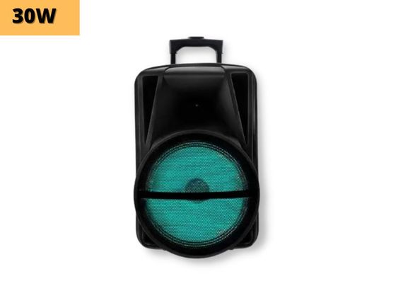 Портативна колонка XPRO MD19-12L  валіза 30Вт, USB, SD, FM радіо, Bluetooth, 1 мікрофон, ДК (MER-15725) | Зображення 1