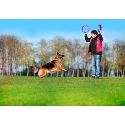 Игрушка для собак Puller Standard Тренировочный снаряд 28 см 2 шт (6490) | Зображення 6
