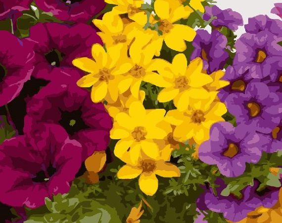 Різнобарвна клумба