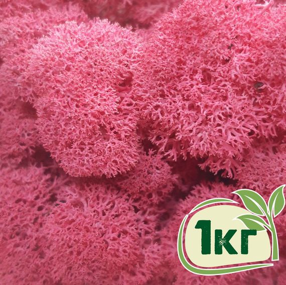 Стабілізований мох ягель Цикламен 1 кг