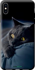Чохол на iPhone XS Max Димчастий кіт "825b-1557-2448"