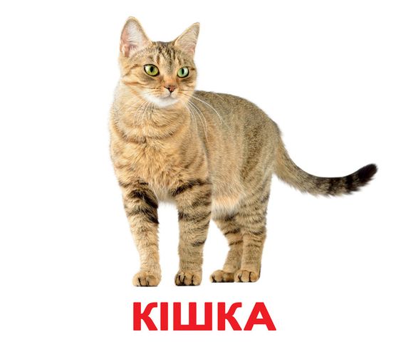Набор карточек Домана - Домашние животные. Без ламинации.