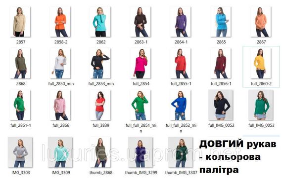 Футболка ПОЛО жіноча з довгим рукавом — тканина-лакота 3ХЛ | Зображення 1