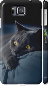 Чохол на Samsung Galaxy Alpha G850F Димчастий кіт "825c-65-2448"