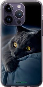 Чохол на iPhone 14 Pro Max Димчастий кіт "825u-2667-2448"