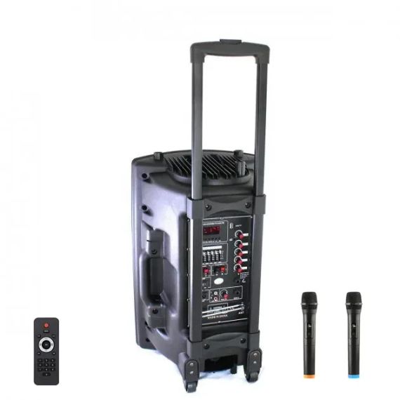 Портативная колонка Su-Kam BT 150D + 2 микрофона 12v\220v | Зображення 2