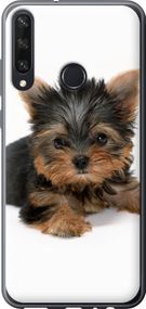 Чехол на Huawei Y6p Щенок йоркширского терьера "931u-1952-17620"
