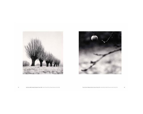 Книга Michael Kenna: Trees / Arbres | Зображення 6