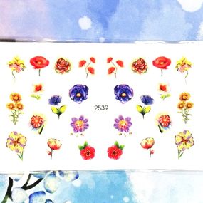 Слайдер 2539 на водяній основі