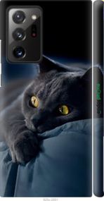 Чохол на Samsung Galaxy Note 20 Ultra Димчастий кіт "825m-2051-2448"