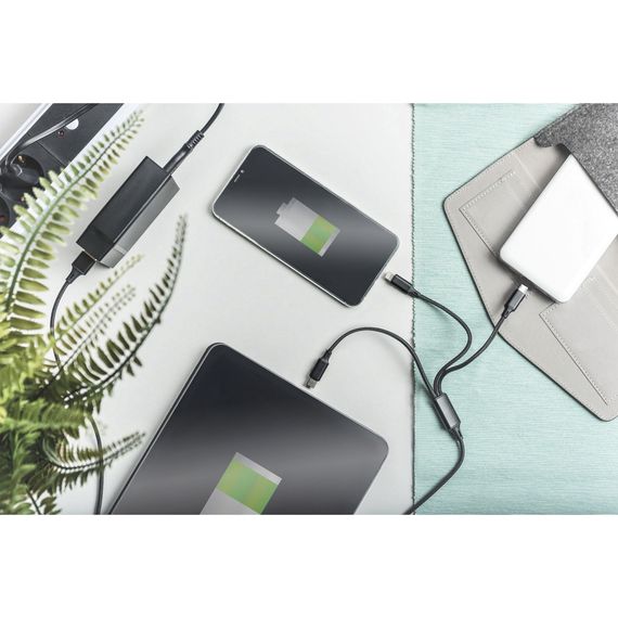 Дата кабель USB 2.0 AM to Lightning + Micro 5P + Type-C 1.0m charge only Digitus (AK-300160-010-S) | Зображення 6