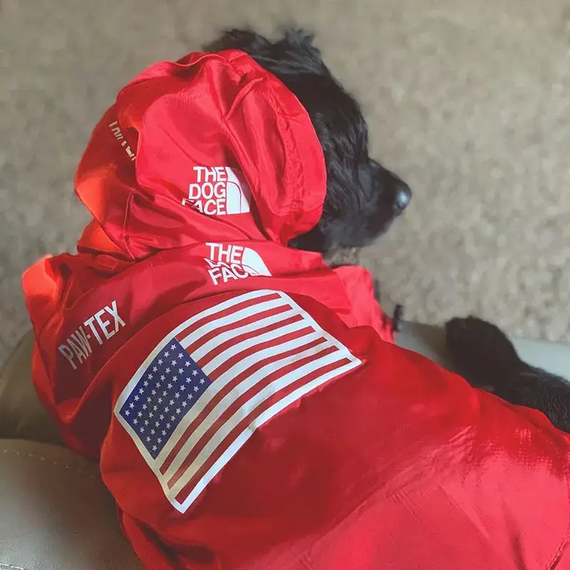 Куртка ветровка з тонкою підкладкою водонепроникна the dog face для собак червона XXL розмір | Зображення 6