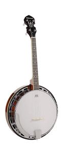 Банджо Richwood RMB-604-SS